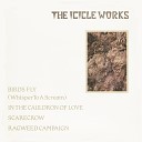 The Icicle Works - Birds Fly Whisper to a Scream