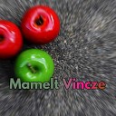 Mamelt Vincze - Smells Like a Zoik Teddy Bear