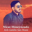 Nicat H seynzad - At b Getdin S n M ni