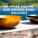 Handpan Player - Handpan Dreams and Singing Bowl Whispers