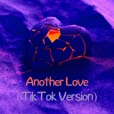 DJ Track Dxrk Johnny Rockstar - Another Love Tiktok Version