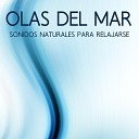 The Healing Project - Olas de Mar Sonidos Naturales para Relajarse