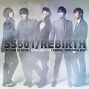 SS501 - Love Like This