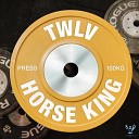 twlv HORSE KING - Press Prod twlv