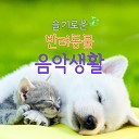 Son Youngchae - Pet s Dream