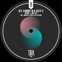 Sammy W Alex E ICS - What I Like Medeew Chicks Luv Us Remix