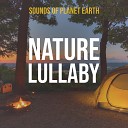 Sounds of Planet Earth - Light Rainfall in the Camping Tent and Fire