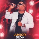 Junior Silva - Garrafa de Gin
