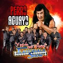 Tlapehuala Show - Perro Aguayo