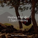 Calm shores Mindfulness Meditation World Ambient… - The Sea and the Sand