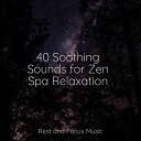 Healing Sounds for Deep Sleep and Relaxation Meditation Zen Rising Higher… - Ambient Music for Sleeping