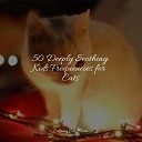 Jazz Music Therapy for Cats Music for Cats Project Cat… - Ocean Air