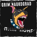 Grim Naukograd - Пинг Понг
