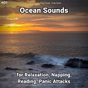 Sea Waves Sounds Nature Sounds Ocean Sounds - Ocean Sounds Pt 18