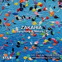 Zakaria Housework - Spliffnshit