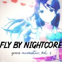 Fly By Nightcore - The Scientist