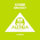 Alphadog - Questions