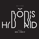DJ Boris - Hybrid