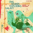 Owl Xounds Exploding Galaxy feat Mario Rechtern Shayna Dulberger Gene Janas Adam… - Distillation