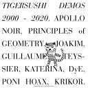 Principles Of Geometry - The Ancient Empire Of Sunmoon PCB