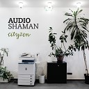 Audio Shaman - Latin Chill