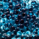 Audio Shaman - Fresh