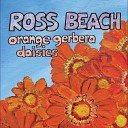 Ross Beach - Orange Gerbera Daisies