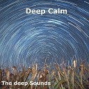 The Deep Sounds - I m not Sorry