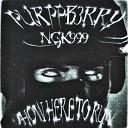 PURPPB3RRY NGK999 - HOW HERE TO RUN