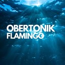 Obertonik - Flamingo