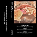 Toro y Moi - Intro Chi Chi Instrumental