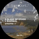 A Blade Of Grass Baasmal - Souvenir