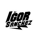 DJ IGOR SANCHEZ Dj Mack GORD O DO PC feat Mc… - Ro a no Bico do Fuzil