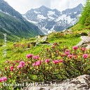 Steve Brassel - Floral Forest Field Daytime Ambience Pt 20
