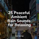 Serenity Spa Music Relaxation Thunder Storm Nature Sounds for… - Lightly Sprinkling