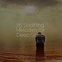 Relaxing Sleep Music Deep Sleep Meditation Pro Sound Effects… - Relaxing Scene