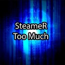 SteameR - Too Much Radio Edit