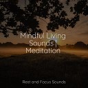 Mindfulness Meditation Universe Yoga Soul Study… - Stars Align