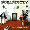 Sugartown Slim - All Within