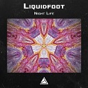 Liquidfoot - Night Life