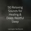 Relaxing Sleep Sound Raindrops Sleep Pure Serenity Spa Music Massage Collective Garden Zen Relaxation… - Ambient Noise