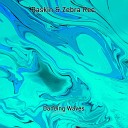 Zebra Rec Raskin - Dancing Waves Dub Mix