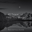 Music to Relax in Free Time Sleep Sound Library… - Calming Aura