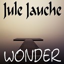 Jule Jauche - Unfortunate Reflections