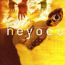 Heyaeb - Another Way To Suffer v2 0