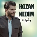 Hozan Nedim - Rabe Rabe