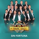 Banda los Chirimoyos - Sin Fortuna