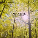 Sandman LunaLight - Acanthis