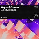 Ozgun Serdex - Acid Sabotage