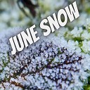 PavKa - June snow